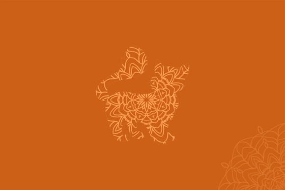 Orange Cat Mandala Pattern Design Review